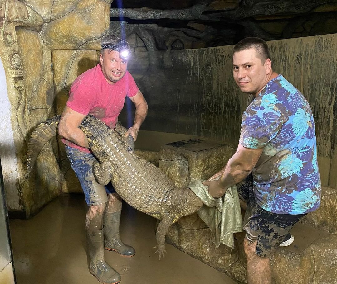 В Ялте из-за потопа на свободу вырвалось 70 рептилий: крокодилов приходиться ловить руками. ВИДЕО
