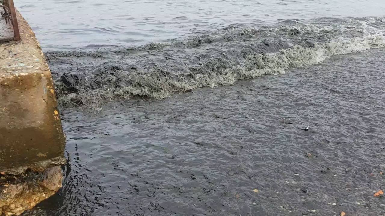 Фекалии в Черном море под Одессой: купаться запрещено. ВИДЕО