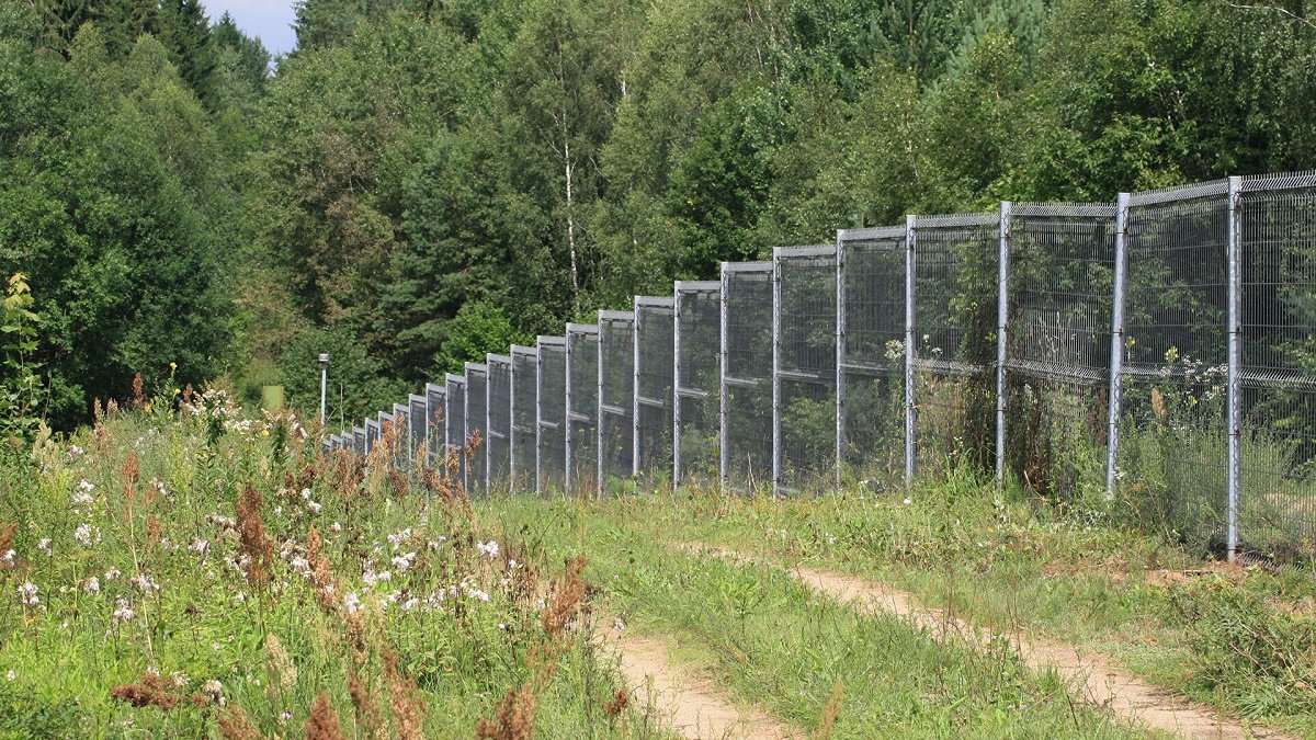 Забор на границе с Беларусью: Литва начала стройку