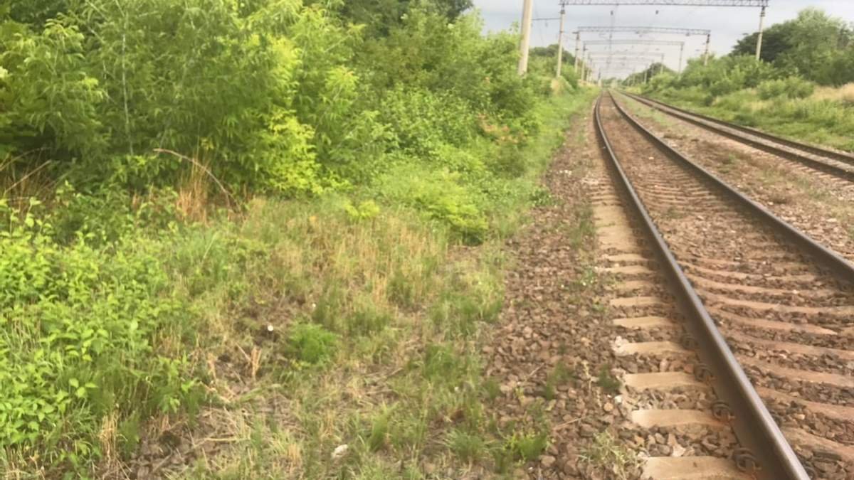 В поезде Львов – Мариуполь парень открыл дверь вагона и выпал во время движения транспорта