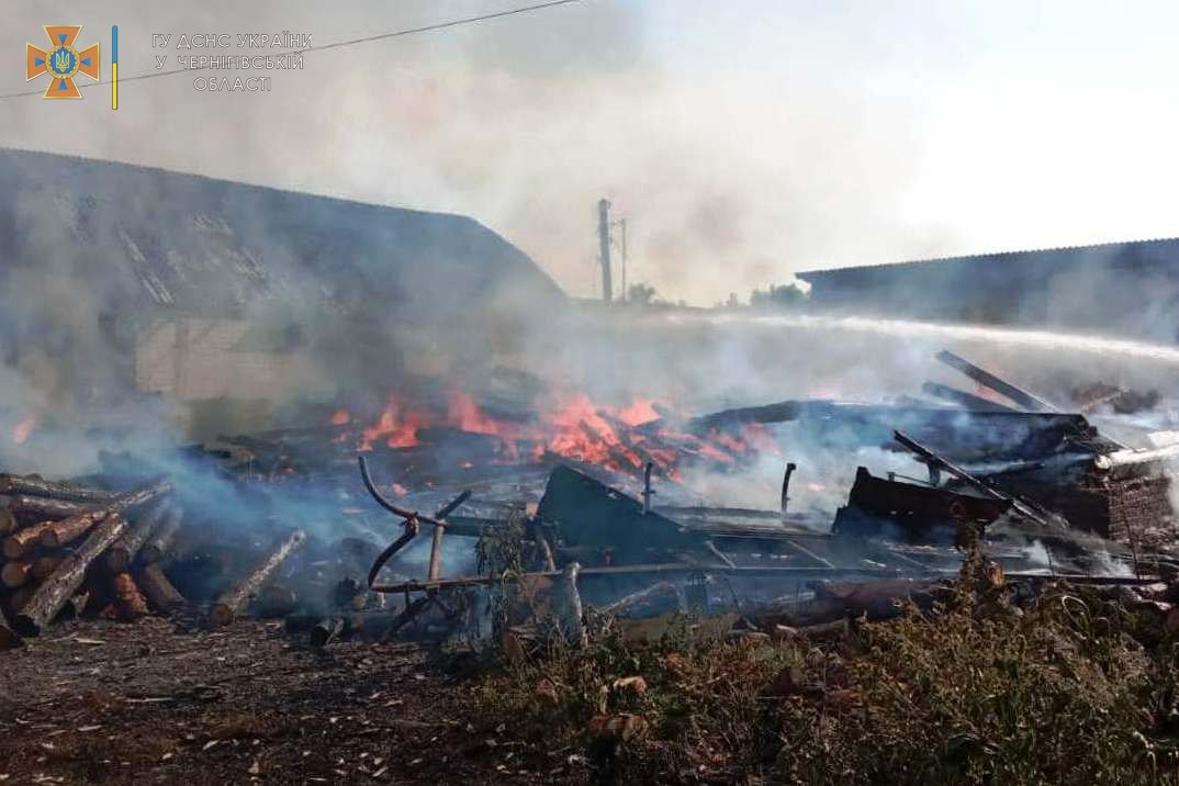 Пожар на Черниговщине: дети случайно спалили дом и машину