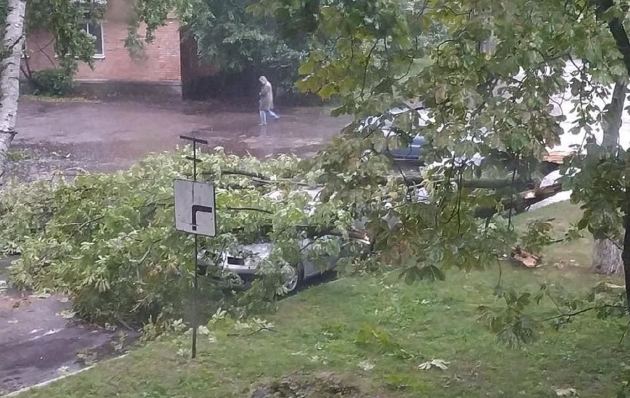 Сорванные крыши домов и поваленные деревья: Полтаву накрыла непогода. ФОТО, ВИДЕО