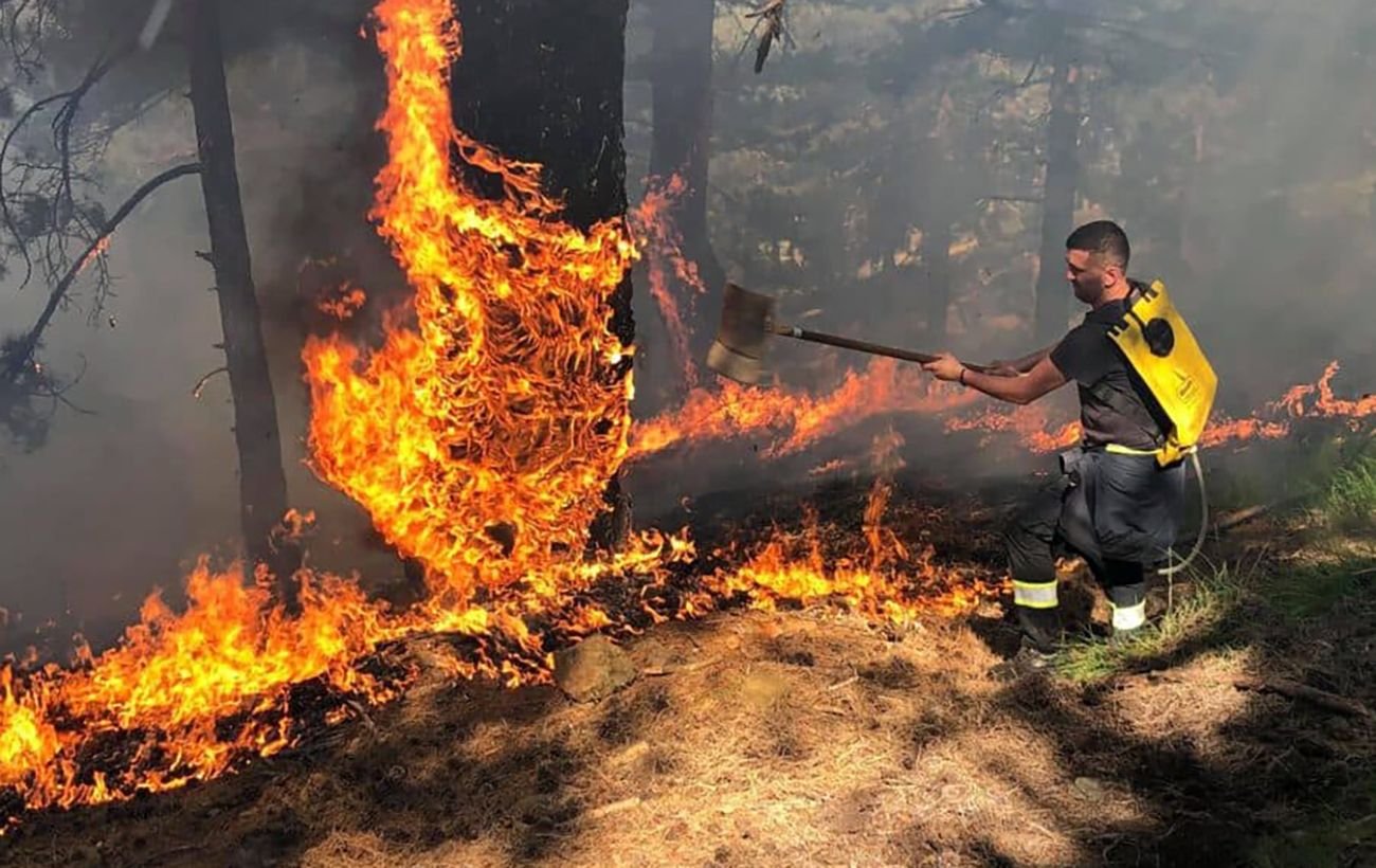 Из-за лесных пожаров в Алжире погибли 32 человека