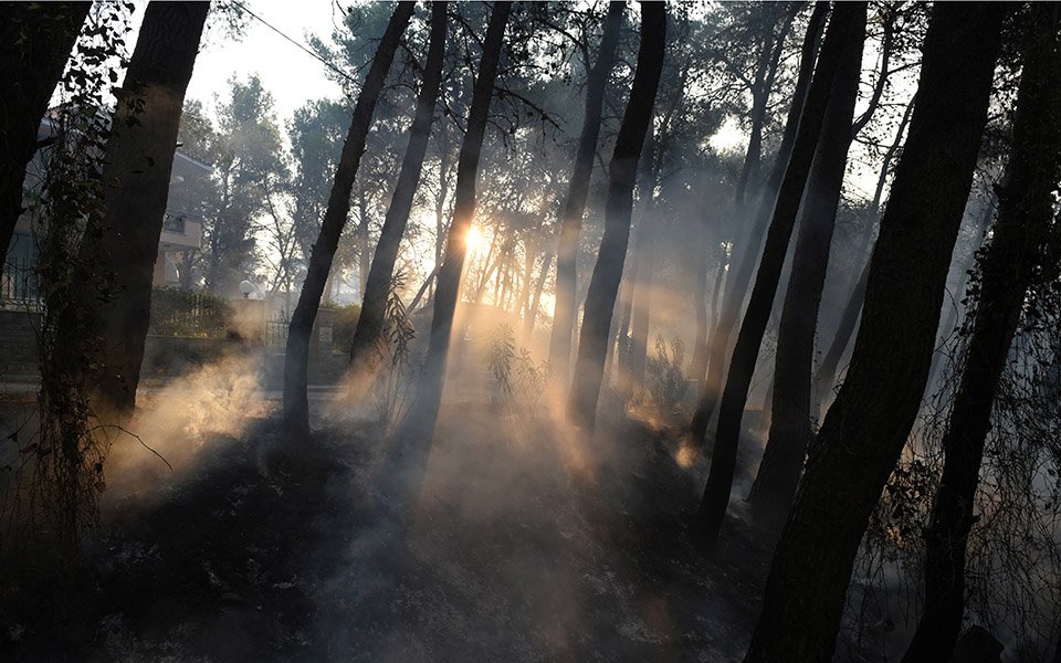 Пожар на греческом острове Эвия стал крупнейшим в истории страны: уничтожено более 200 тысяч гектаров