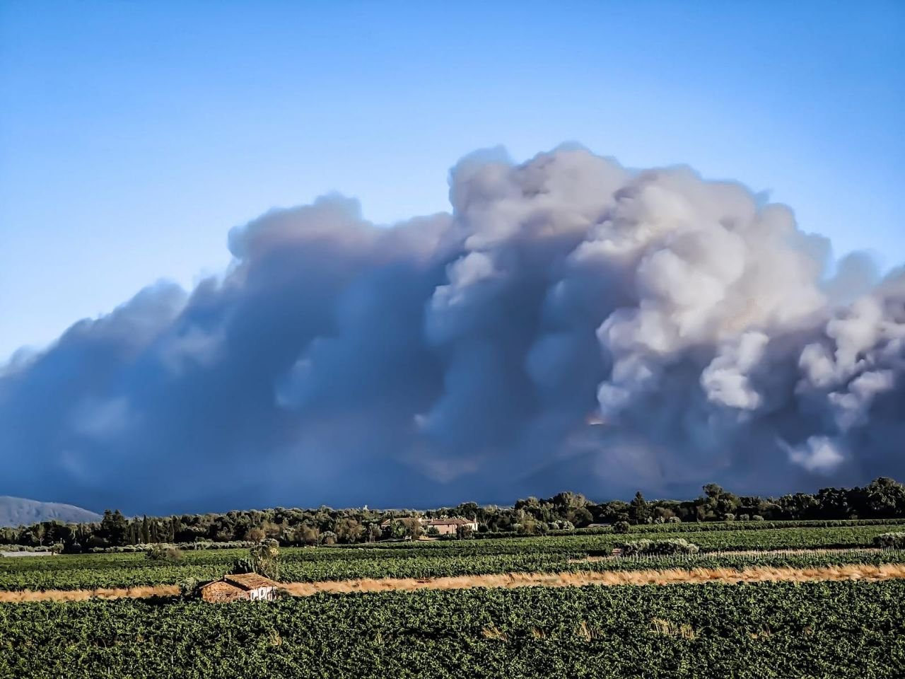 Во Франции горят леса: тысячи людей эвакуированы