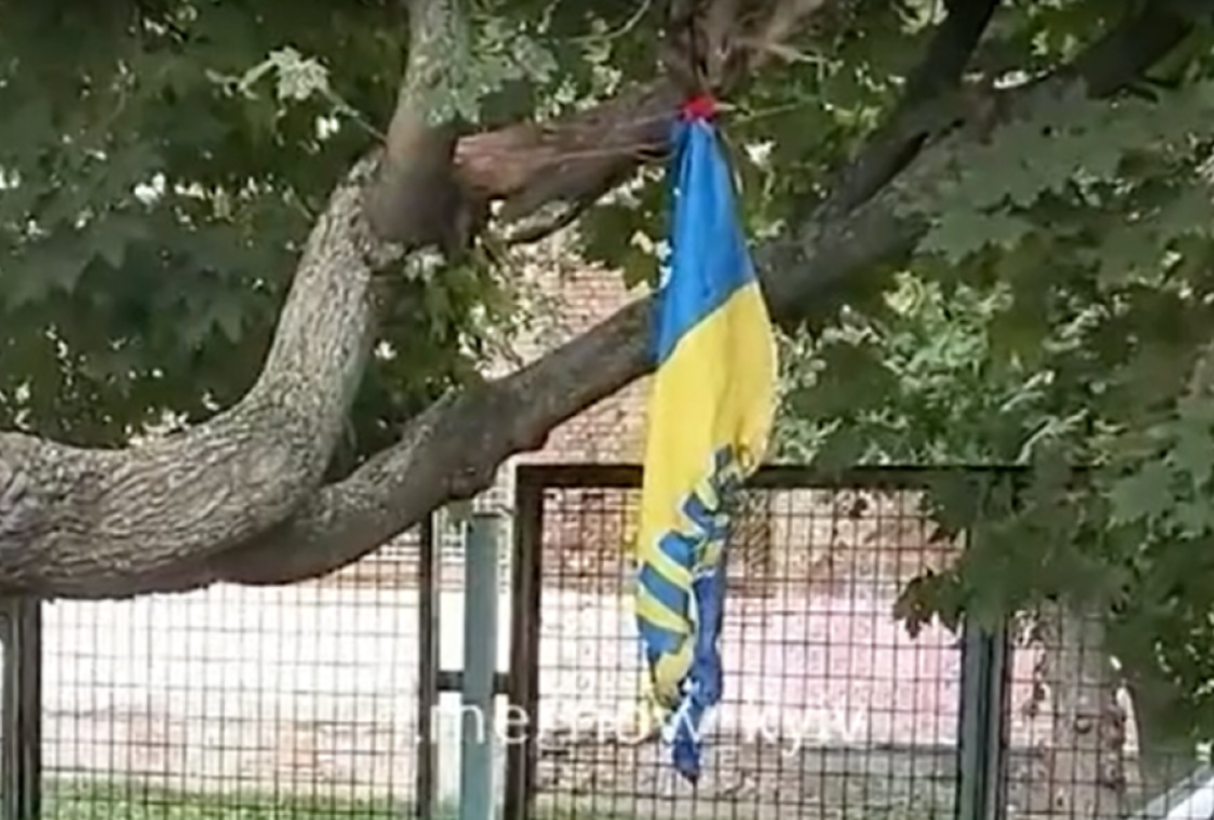 В Киеве дети сожгли флаг Украины. ВИДЕО