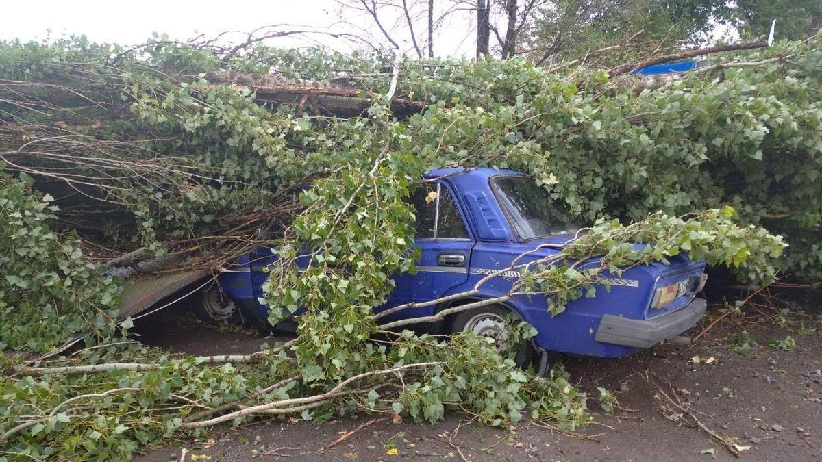 Из-за непогоды возле Херсона деревья завалили четыре километра дороги