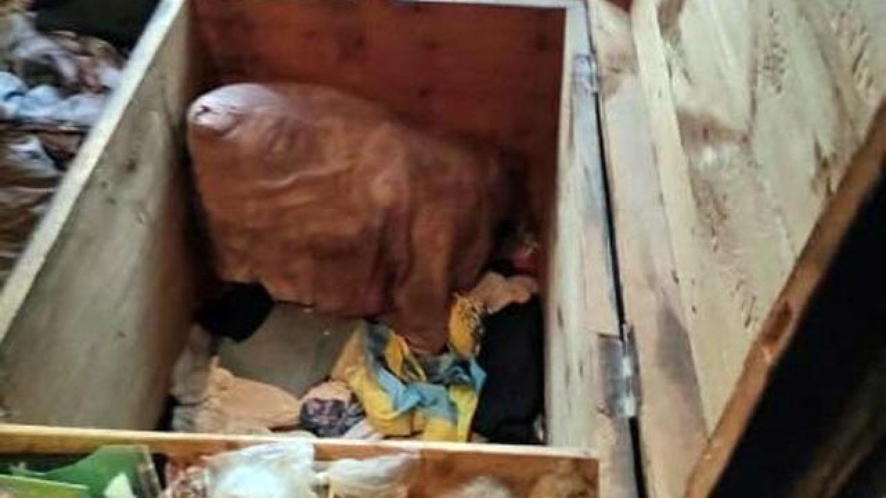 Под Донецком маленьких детей нашли мертвыми в сундуке. ФОТО
