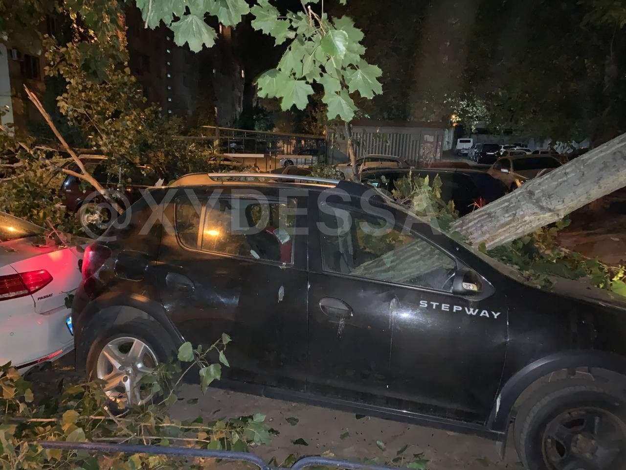 В Одессе упавшее дерево раздавило семь припаркованных авто