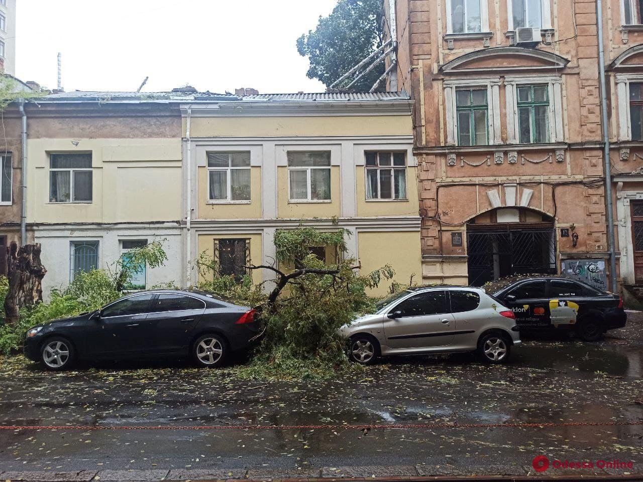 Одессу накрыла непогода: попадали деревья и затопило улицы. ФОТО, ВИДЕО