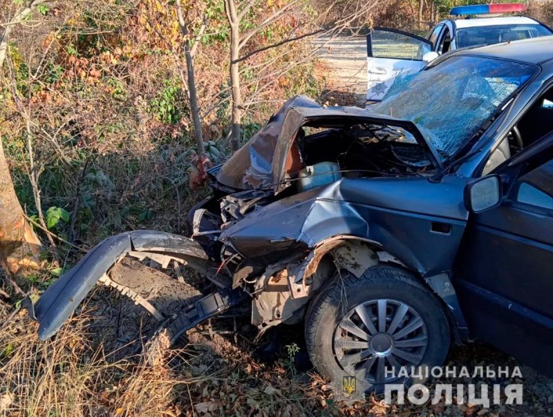 ДТП на Закарпатье: водитель въехал в дерево