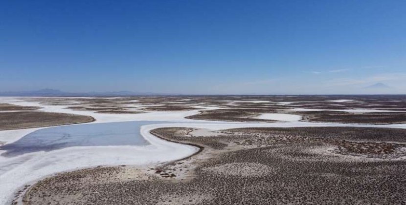 В Турции высохло второе по величине озеро: погибли тысячи фламинго. ФОТО
