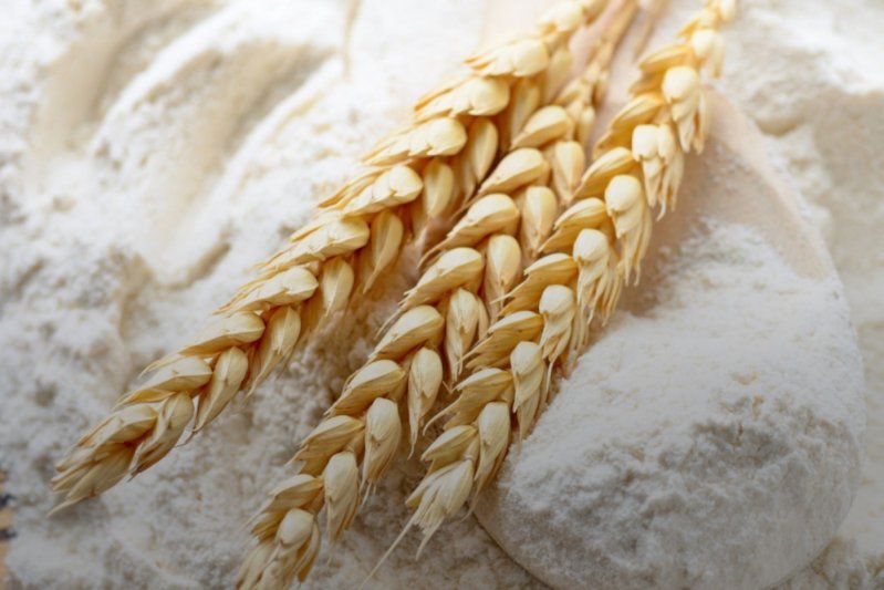 Британський міністр: Без експорту зерна з України світові загрожує голод, - CNBC