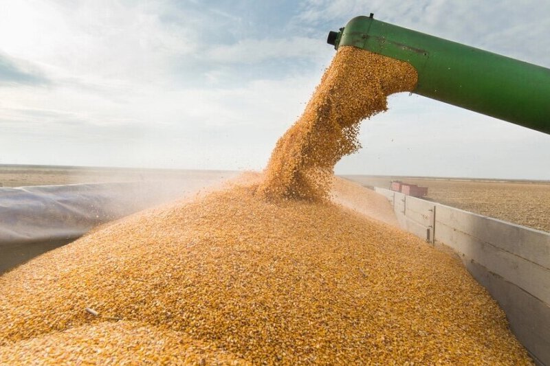 США намагаються врятувати українське зерно, поки росія не зніме блокаду, - CNN