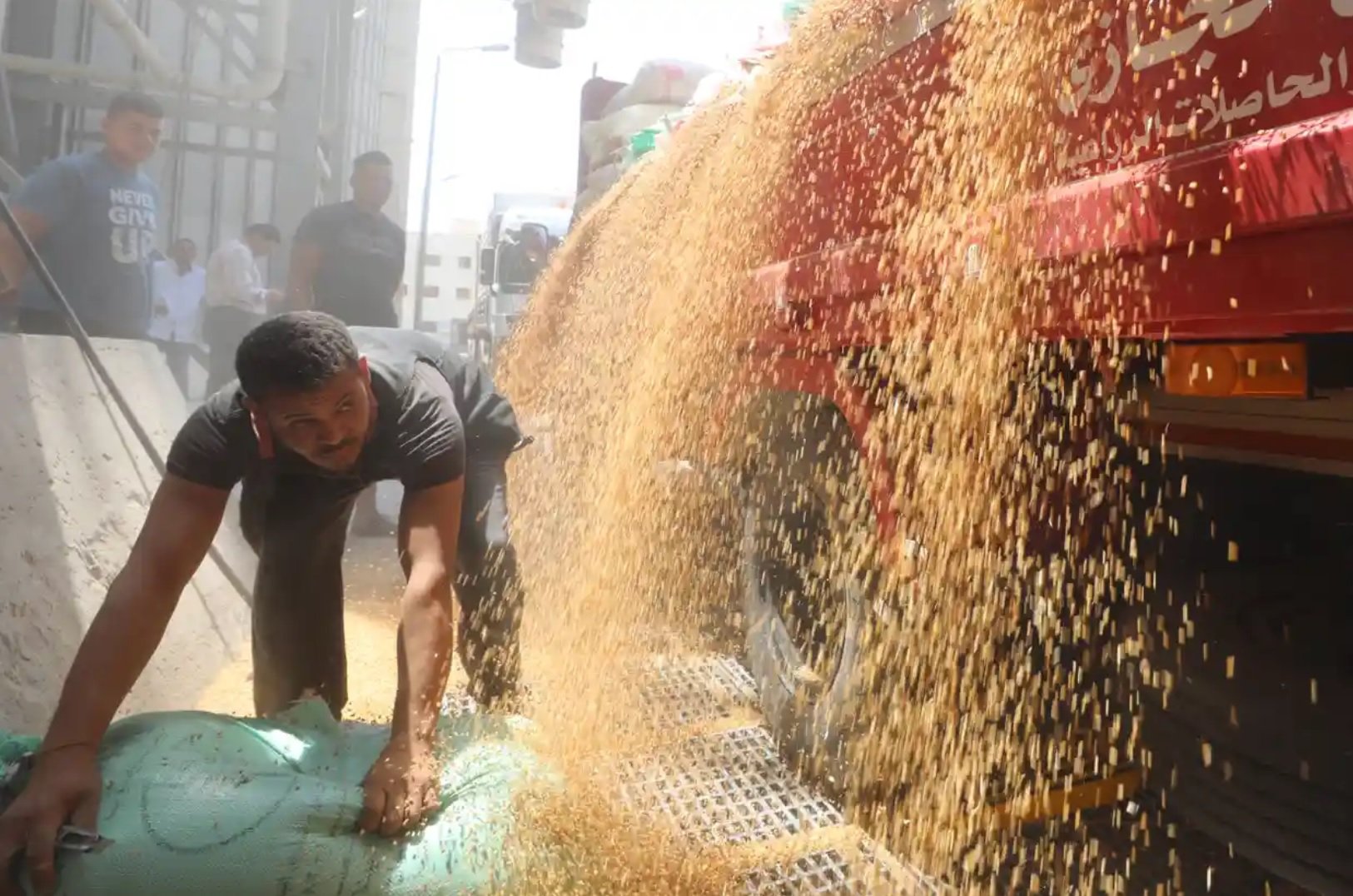 Як вивезти з України 20 млн тонн зерна? - Guardian