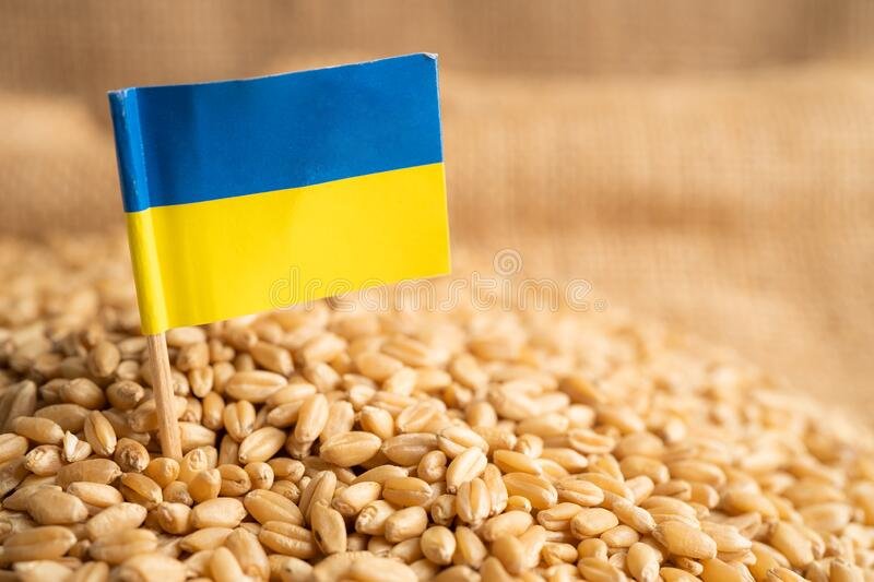 G7 введе санкції за вивезення вкраденого в України зерна
