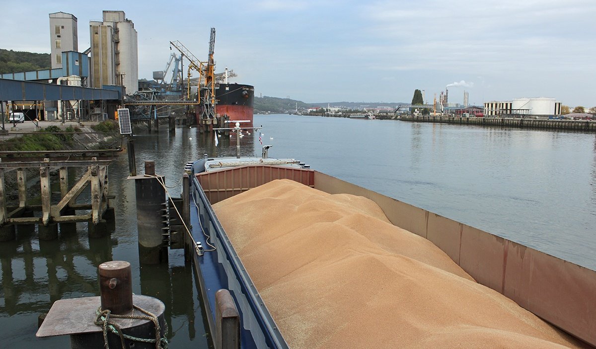 Кораблі з українським зерном відправляться до Африки вже сьогодні