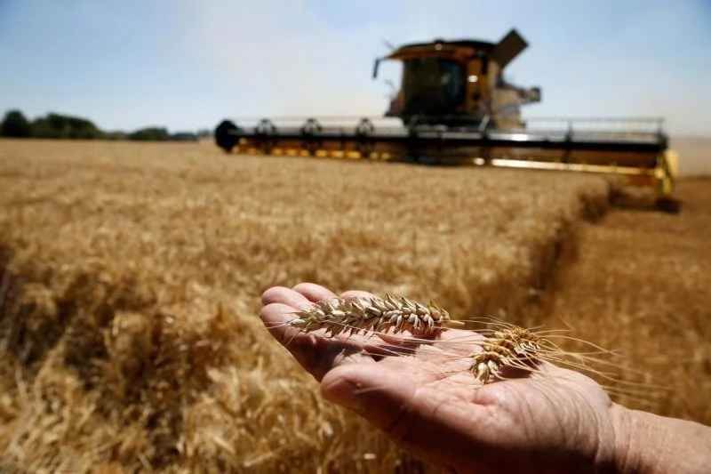 Українське зерно прибуло в Туреччину — наступний пункт Ліван