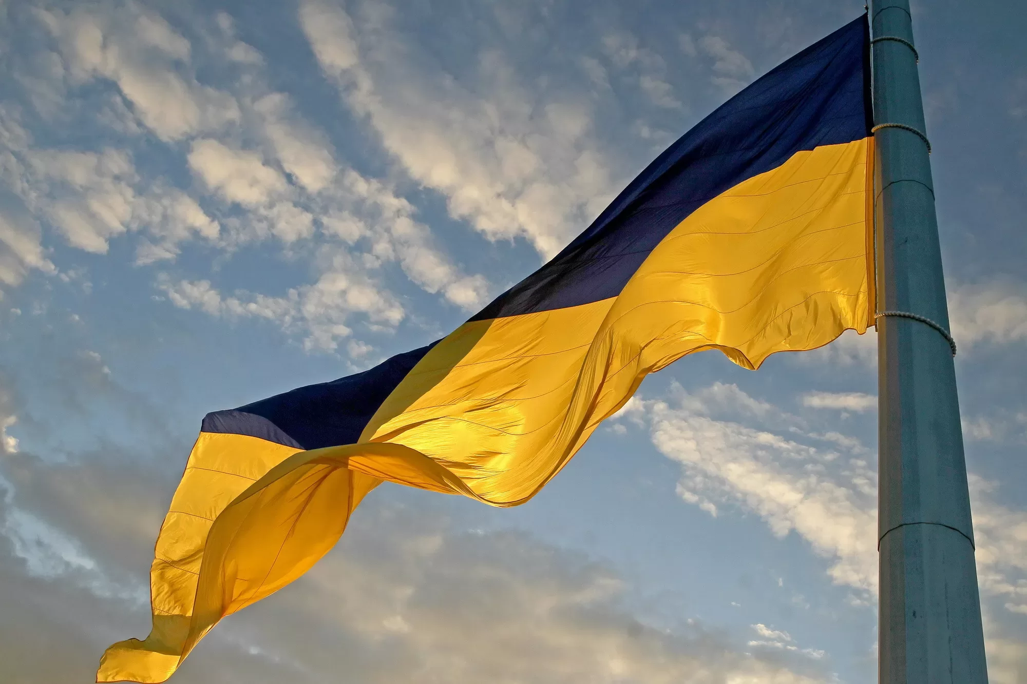 В День Незалежності України у канадському Торонто урочисто піднімуть національний прапор