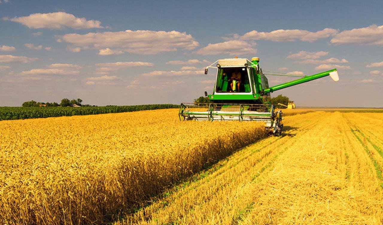 Жнива тривають: зернових в Україні зібрали більше мільйона тонн