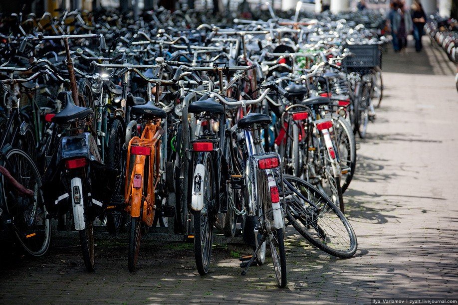 Амстердам передасть Україні 2000 велосипедів, які були забуті на вулицях міста