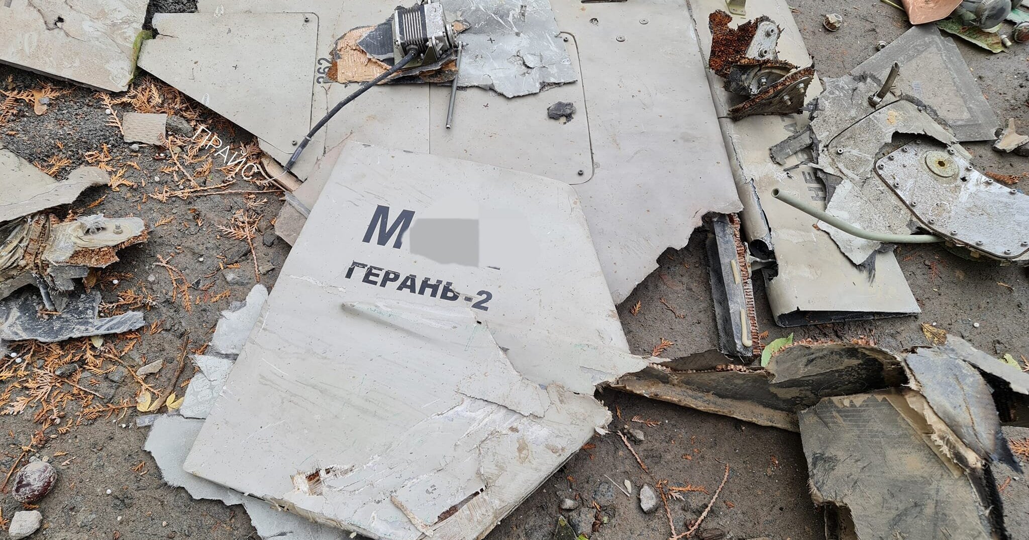 ЗСУ за дві години знищили 19 дронів-камікадзе